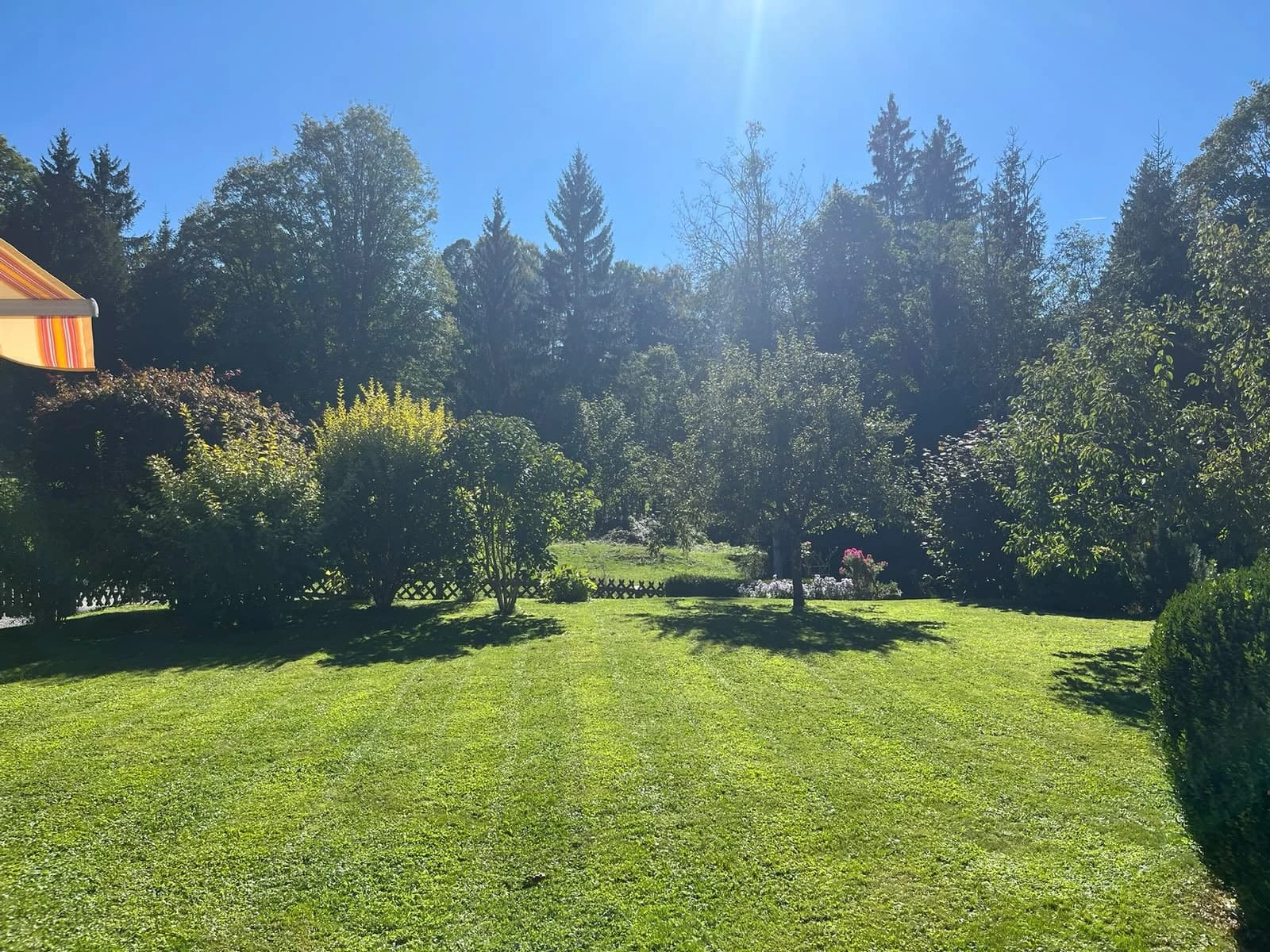Bäume und gewachsener Garten des bestehenden Hauses